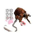 エリー犬（個別スタンプ：17）