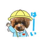 エリー犬（個別スタンプ：19）