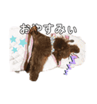 エリー犬（個別スタンプ：20）