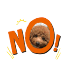 エリー犬（個別スタンプ：22）