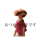 エリー犬（個別スタンプ：23）