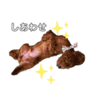 エリー犬（個別スタンプ：24）