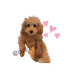エリー犬（個別スタンプ：26）