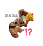 エリー犬（個別スタンプ：27）