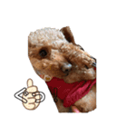 エリー犬（個別スタンプ：28）