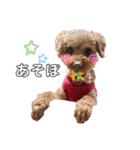 エリー犬（個別スタンプ：29）