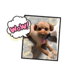 エリー犬（個別スタンプ：30）
