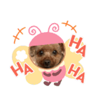 エリー犬（個別スタンプ：32）