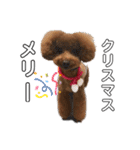 エリー犬（個別スタンプ：39）