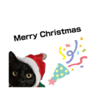 黒猫ちゃん☆（個別スタンプ：1）