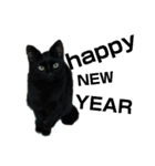 黒猫ちゃん☆（個別スタンプ：2）