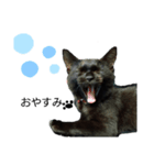 黒猫ちゃん☆（個別スタンプ：4）