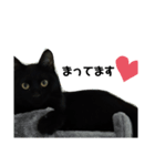 黒猫ちゃん☆（個別スタンプ：5）