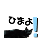 黒猫ちゃん☆（個別スタンプ：6）