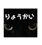 黒猫ちゃん☆（個別スタンプ：8）