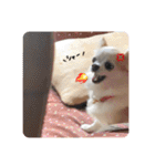 mi-na0319（個別スタンプ：1）