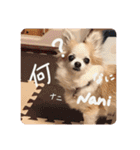 mi-na0319（個別スタンプ：17）