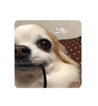 mi-na0319（個別スタンプ：30）