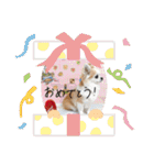 mi-na0319（個別スタンプ：38）