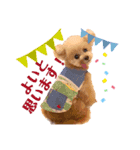 GemmaKikiPippi Lovely stamps 2021 vol.3（個別スタンプ：1）