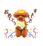 GemmaKikiPippi Lovely stamps 2021 vol.3（個別スタンプ：2）
