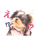 GemmaKikiPippi Lovely stamps 2021 vol.3（個別スタンプ：3）