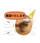 GemmaKikiPippi Lovely stamps 2021 vol.3（個別スタンプ：4）