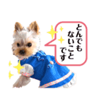 GemmaKikiPippi Lovely stamps 2021 vol.3（個別スタンプ：6）