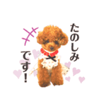 GemmaKikiPippi Lovely stamps 2021 vol.3（個別スタンプ：7）