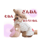 GemmaKikiPippi Lovely stamps 2021 vol.3（個別スタンプ：8）