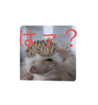 ウチの子はりーつぁん1（個別スタンプ：4）
