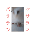 ウチの子はりーつぁん1（個別スタンプ：18）