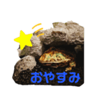 クランウェルツノガエルのわさび君（個別スタンプ：3）