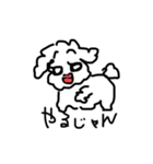 ミナプー（個別スタンプ：11）