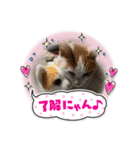 まさむね001（個別スタンプ：5）