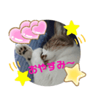ナナエモン①+（個別スタンプ：1）