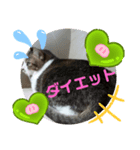 ナナエモン①+（個別スタンプ：7）