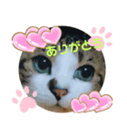 ドラエモン＆サンド①α（個別スタンプ：1）