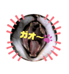 ドラエモン＆サンド①α（個別スタンプ：8）