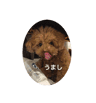 ココアちゃん達1（個別スタンプ：1）