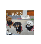 ココアちゃん達1（個別スタンプ：3）