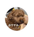 ココアちゃん達1（個別スタンプ：6）