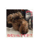 ココアちゃん達1（個別スタンプ：10）