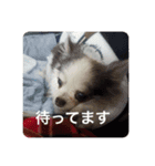 ココアちゃん達1（個別スタンプ：11）
