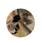 ココアちゃん達1（個別スタンプ：12）