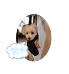 ココアちゃん達1（個別スタンプ：13）