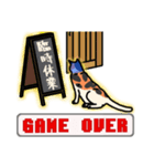 nekomaneki35（個別スタンプ：3）