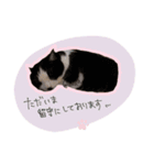 こころんの猫の日常スタンプ（個別スタンプ：2）