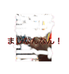 斎藤さんグル！（個別スタンプ：8）