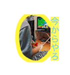 斎藤さんグル！（個別スタンプ：13）